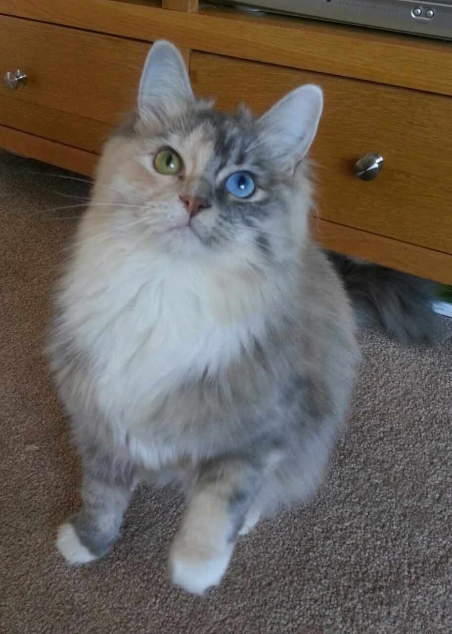 王子公园奇迹夜，姆巴佩弑旧主，摩纳哥战术完胜拜仁