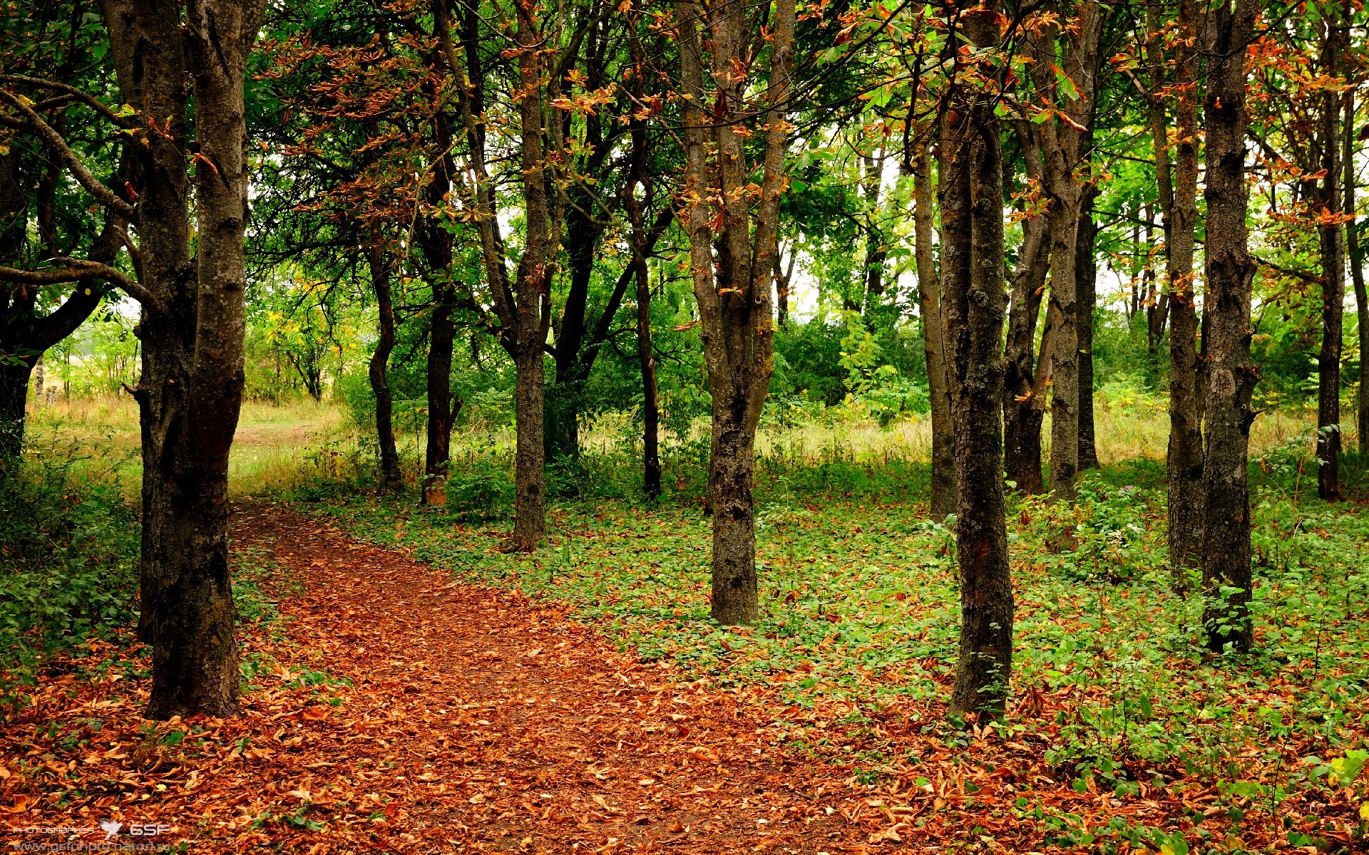 哈登连砍21分拯救球队?不,是湖人掀翻黄蜂!现代体育新闻的标题骗局