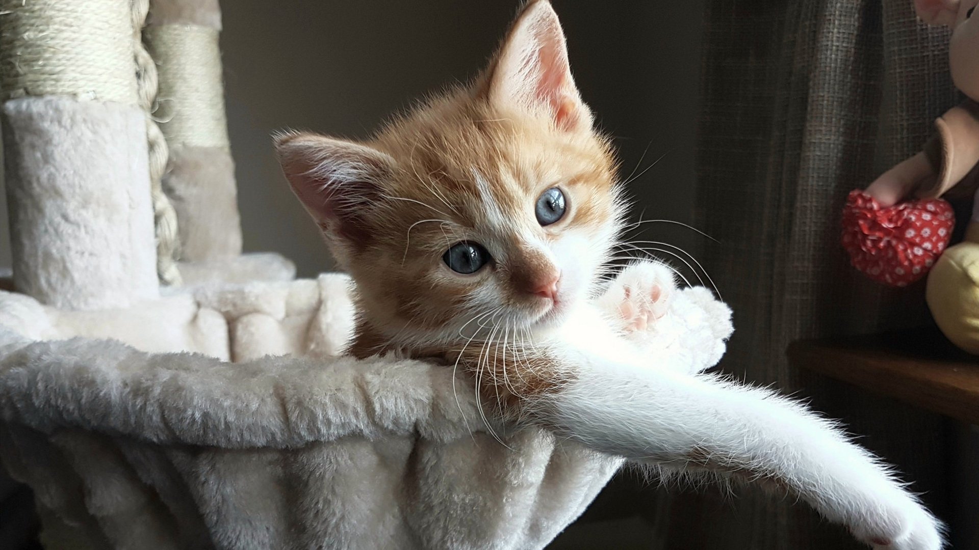 诸神的黄昏,当欧文以独行侠之名提前终结太阳