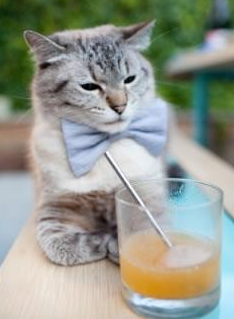 当曼彻斯特红飘扬在东决球馆，布鲁诺·费尔南德斯用足球智慧赢下篮球战争