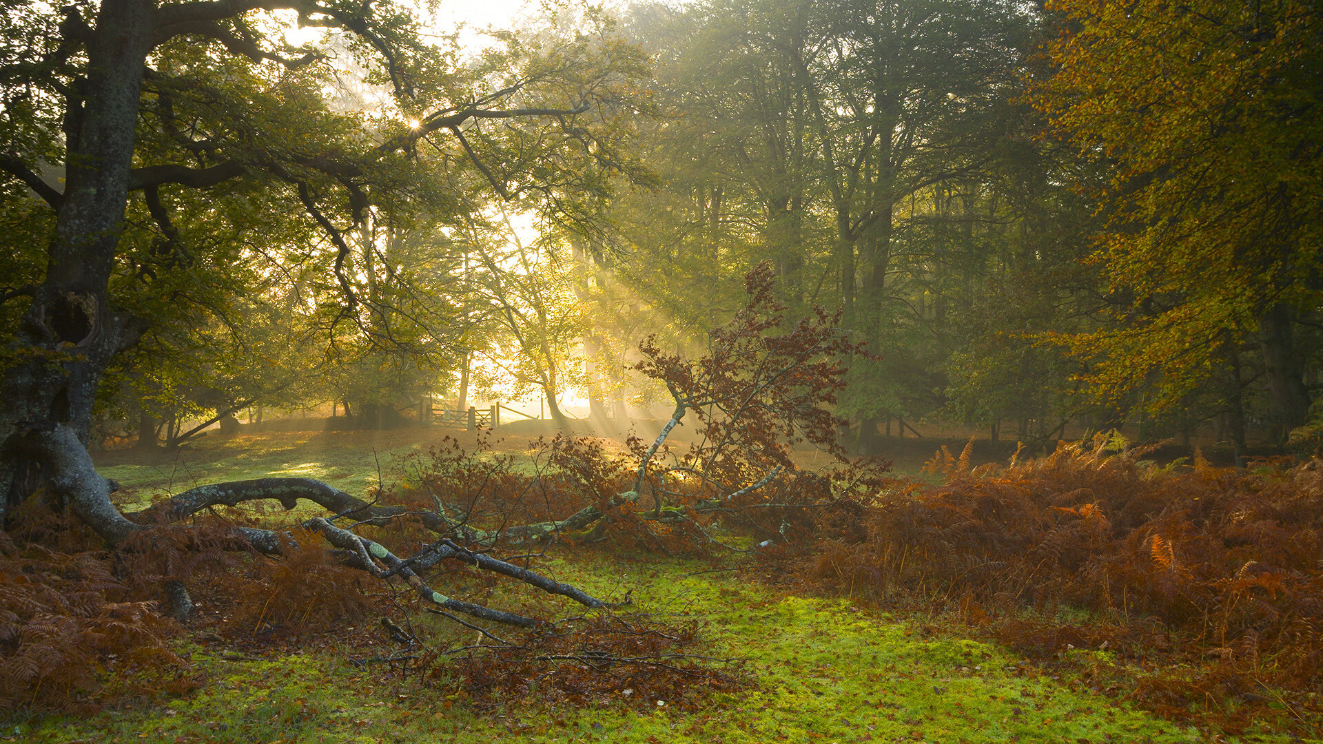 生死战的双面镜,当宿命的枪声同时响起