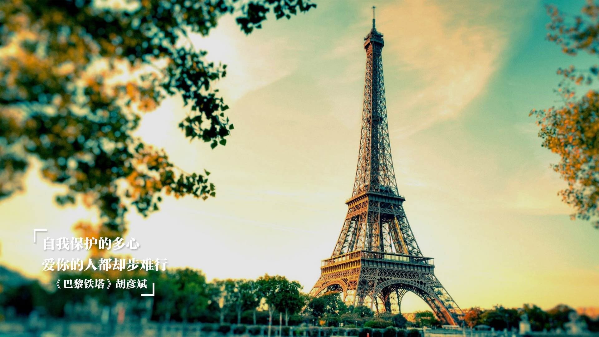 范弗利特如精密仪器稳定运转,连线全队,上海斩断广厦双塔锋芒