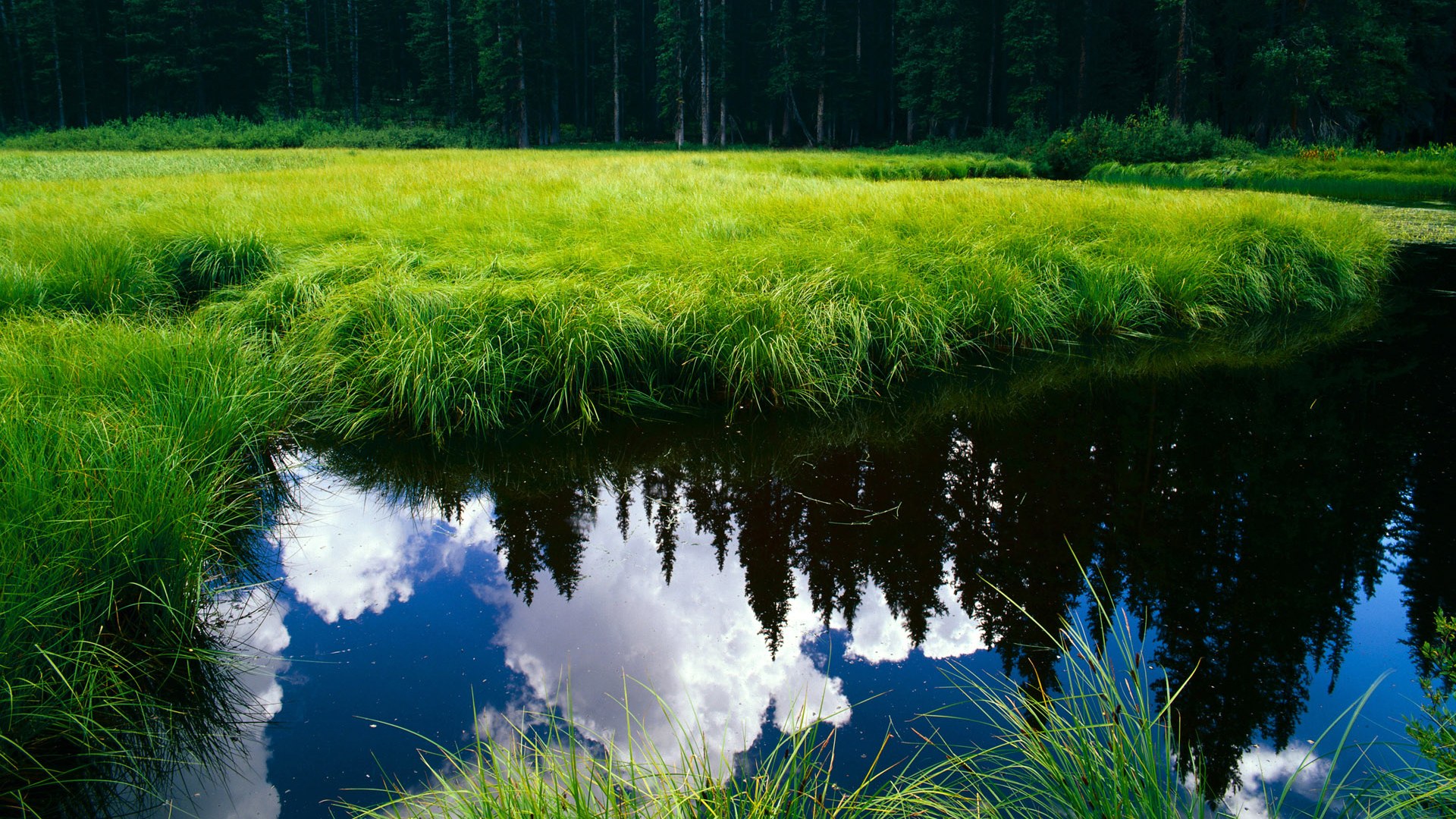 东亚铁壁与东欧铁骑，世界杯赛场上两种铁血的胜利法则