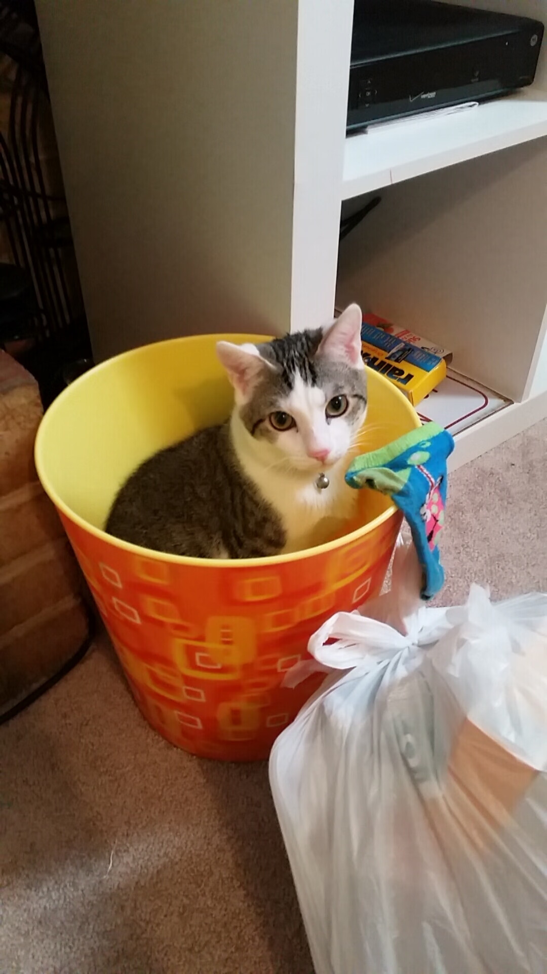 当巴黎圣日耳曼在巴西高原掀起战术革命,莱万用最后的利齿撕碎桑巴骄傲