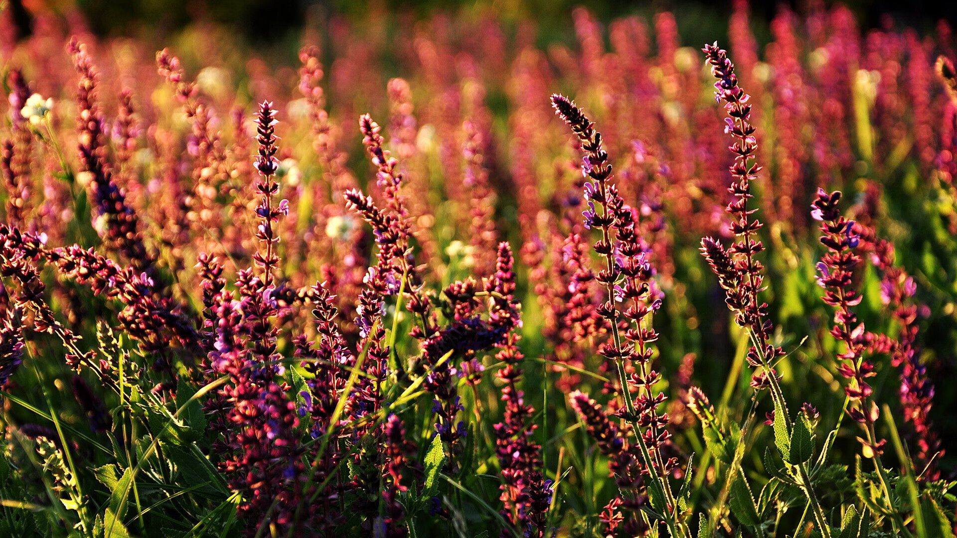 跨越太平洋的激战，杜兰特末节15分收关，76人险胜浙江队