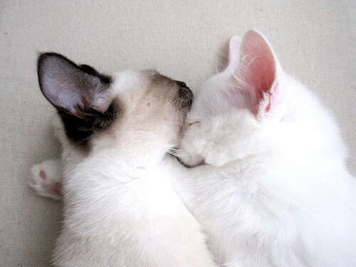 在时间的废墟中炼金，罗德里终场哨响前的自我救赎