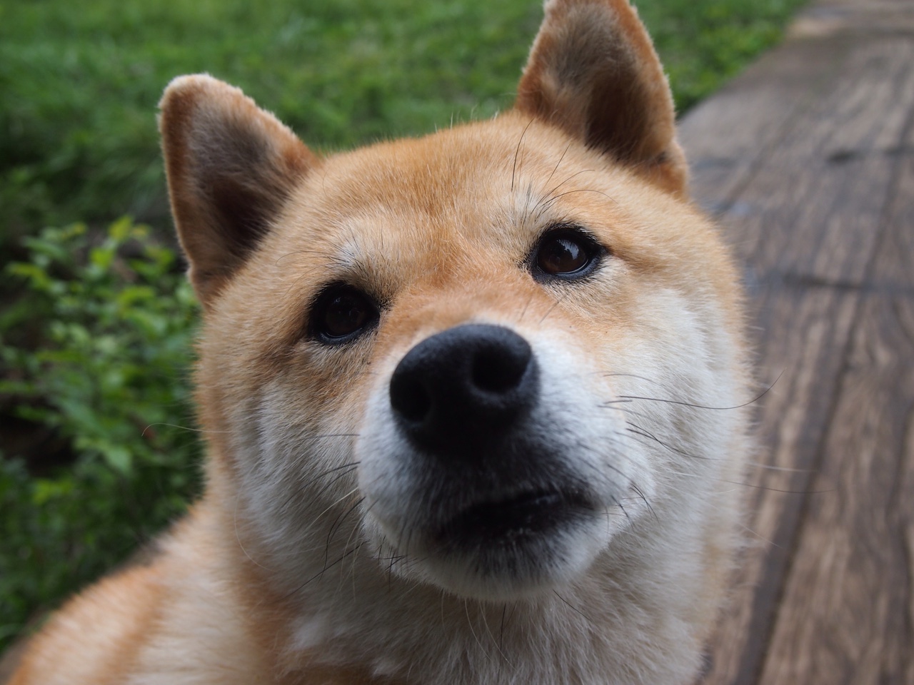 孤胆英雄降临洛杉矶！独行侠加时掀翻湖人，王牌狙击手字母哥轰赛季新高