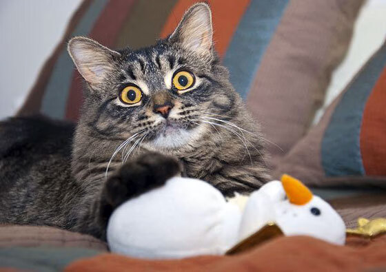 门将的审判日，欧冠窒息之夜，奥纳纳用双手完成自我救赎