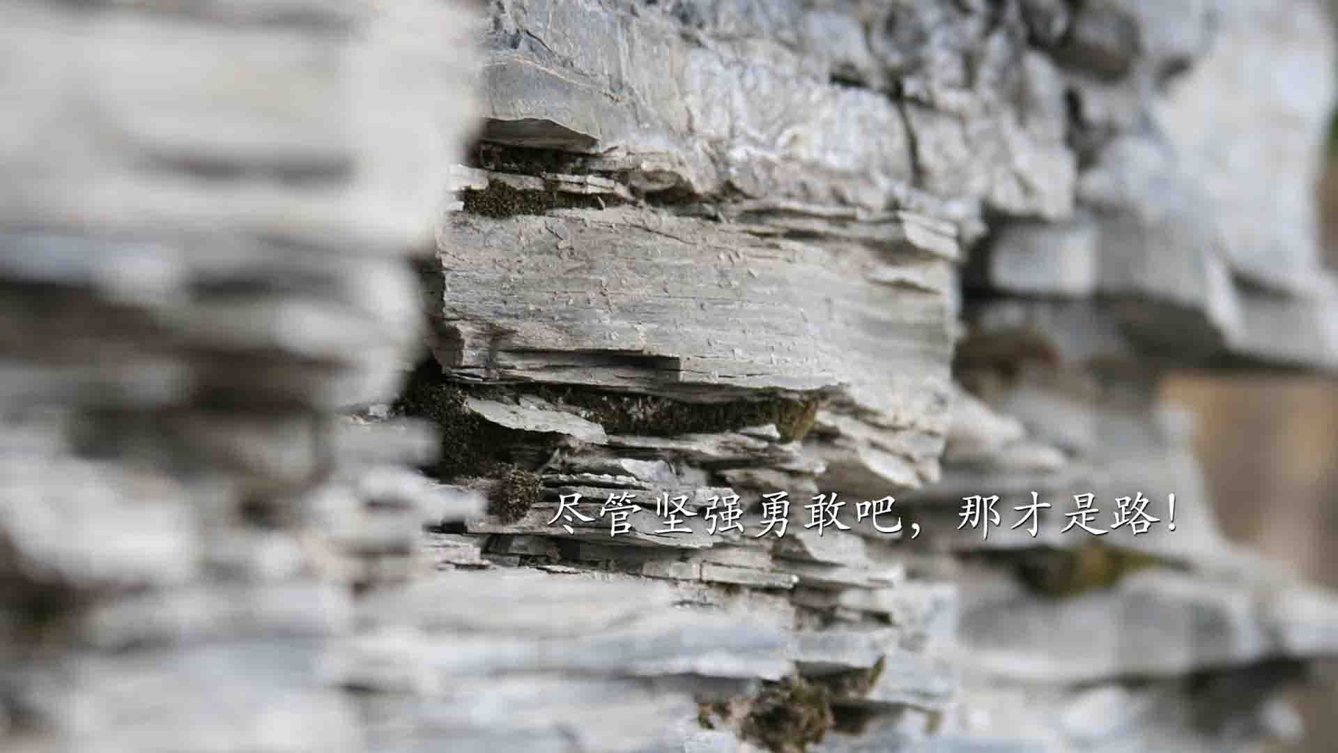 撕裂防守的利刃，保罗一肩扛起老鹰关键战突围使命