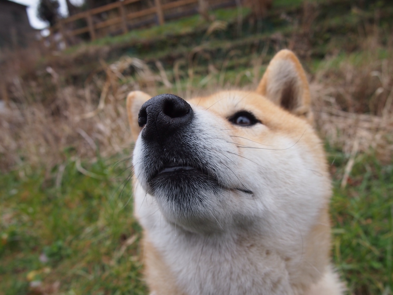 76人狂潮席卷骑士，浓眉赛后满分评分引联盟震动