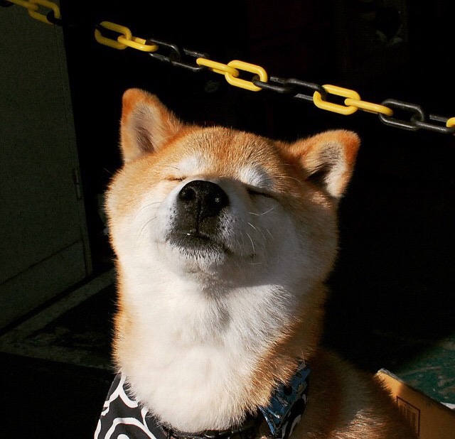 英格拉姆39分定乾坤！新疆绝境逆转魔术生死战