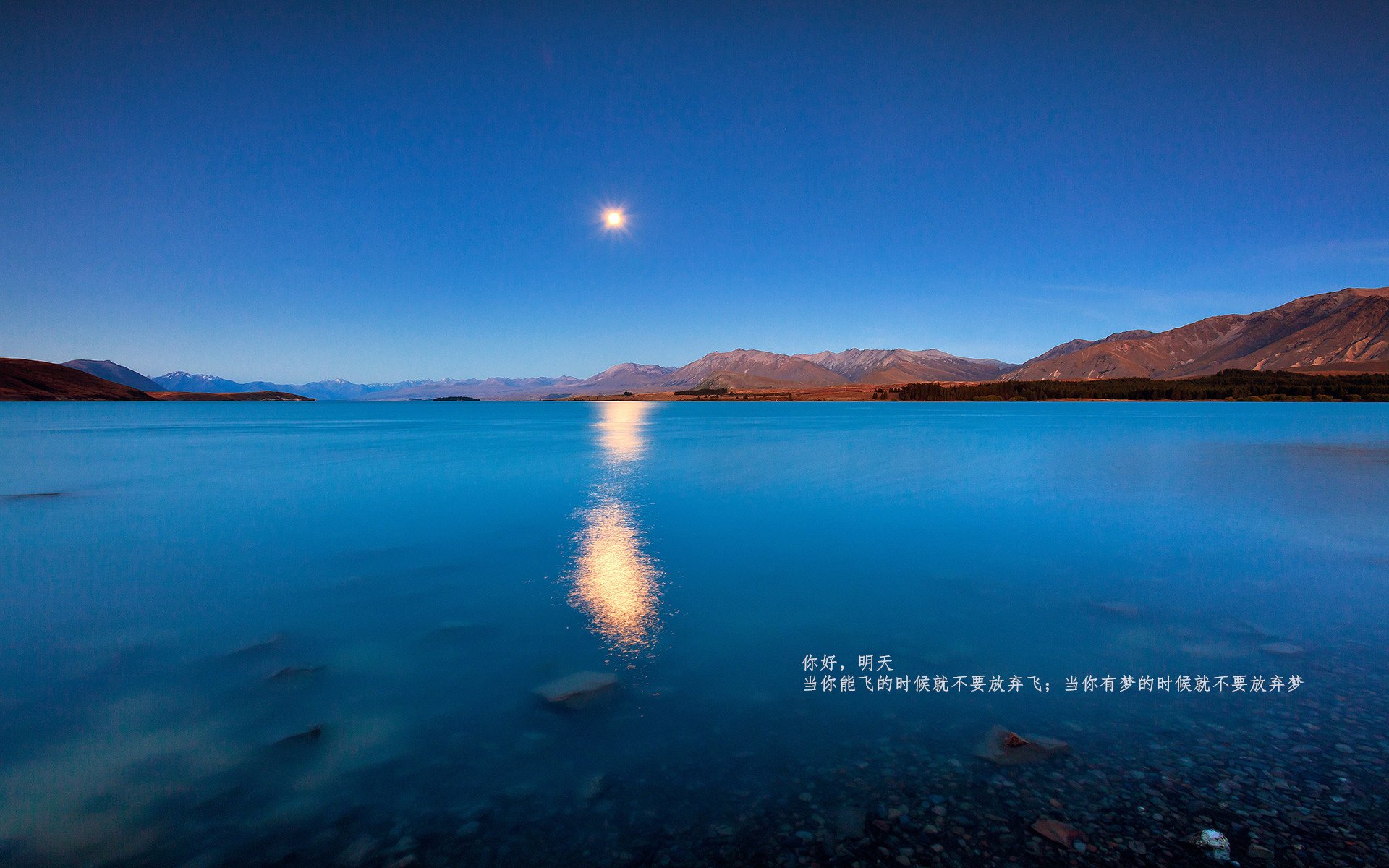 跨越领域的震撼时刻，瑞士足球冲垮阿尔及利亚，卡马文加抢七接管比赛