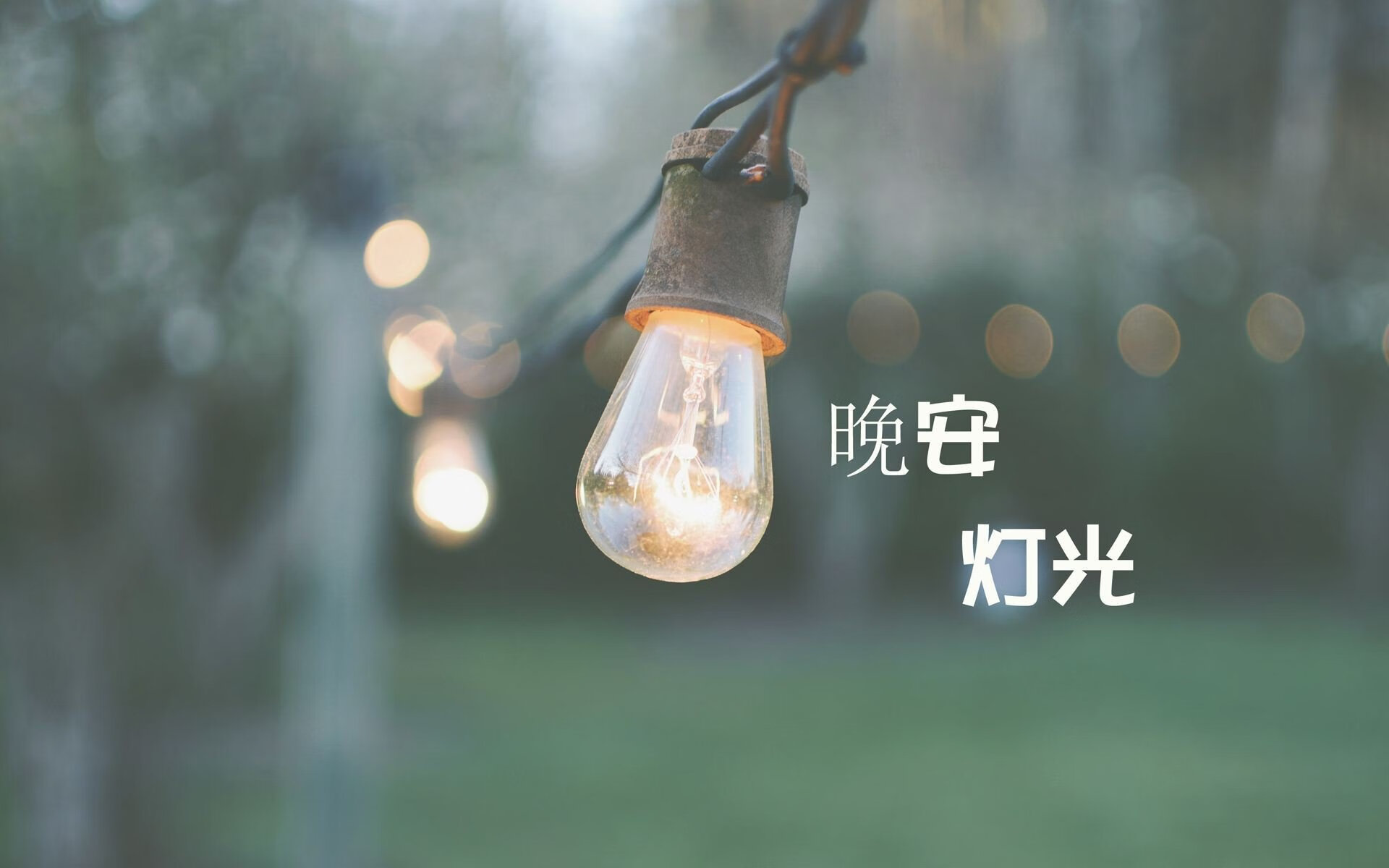 哈基米的火焰,阿根廷的冰雨,一场定义唯一的F组狂想曲
