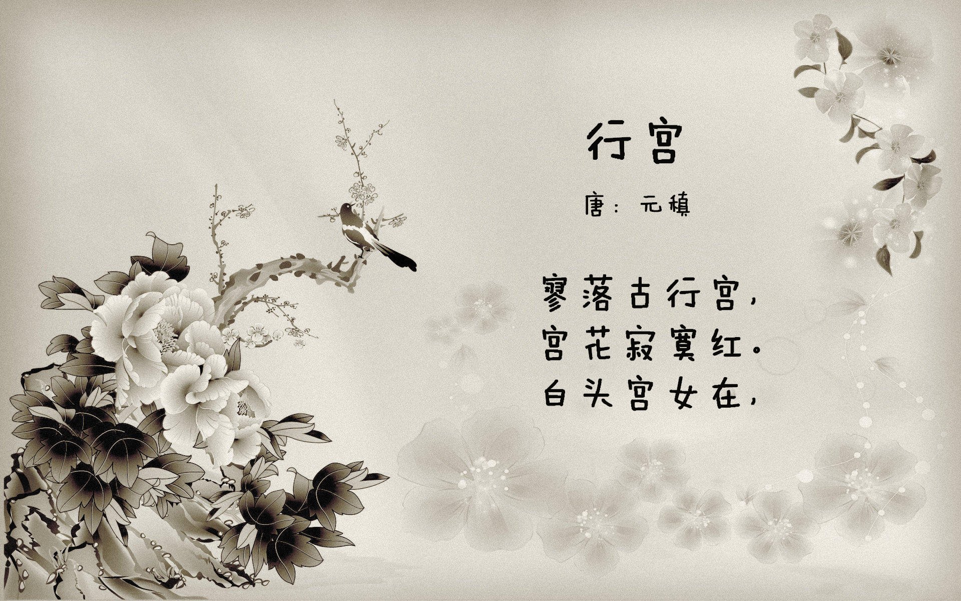 华沙夜幕下的东欧铁骑,保加利亚用最流畅的攻防转换,书写E组唯一的逆袭宣言
