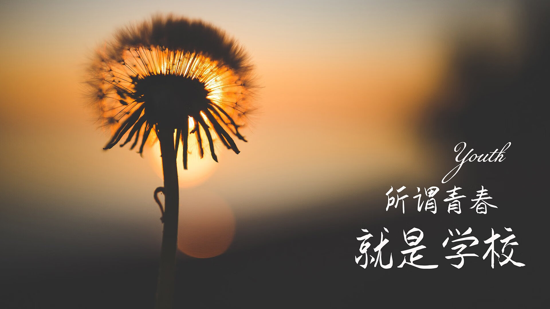 冰与火之歌，2026世界杯揭幕战，捷克铁骑踏碎北欧神话，库尔图瓦化身最后一道光