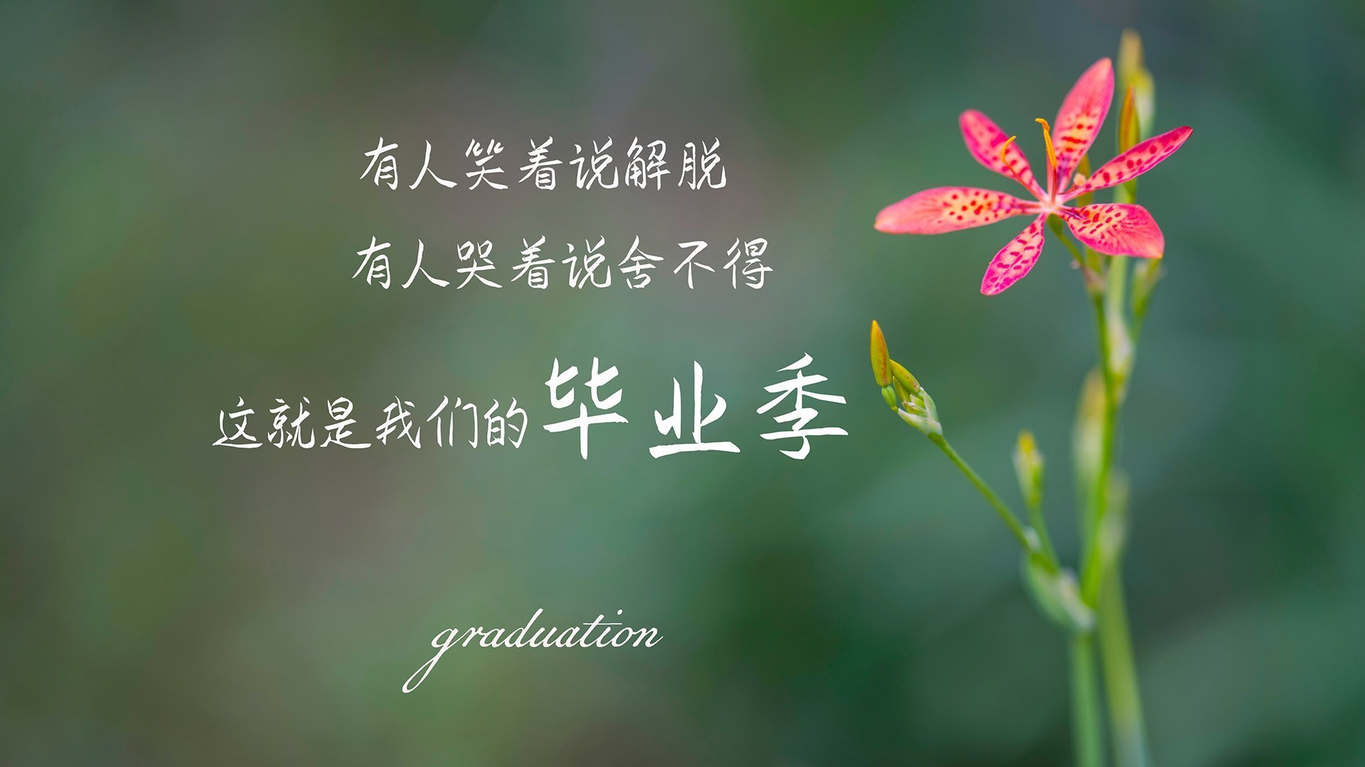 南美闪电撕碎北美防线,智利黄金一代的复仇与布罗佐维奇的中场交响乐