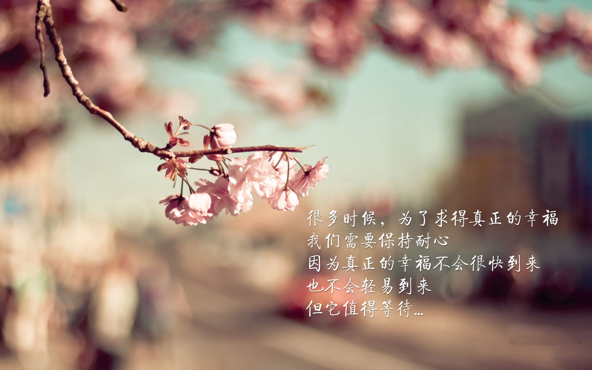 铁血与灵光的唯一碰撞，2026世界杯D组，智利风暴碾压泰国，托纳利的死角理论闪耀全场